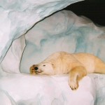 sommeil_maigrir
