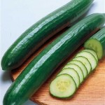concombre