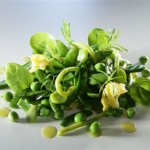 legumes_verts