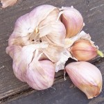 ail et cancer