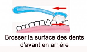 brossage des dents du fond, d'avant en arrière brossage des dents du fond, d'avant en arrière