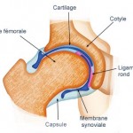 les huiles essentielles soulagent les articulations douloureuses