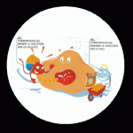 quels aliments pour baisser le cholestérol