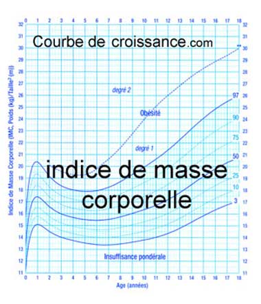 calcul de l indice de masse corporel