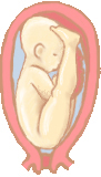 Position en siège décomplété