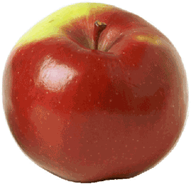 La pectine de pomme pour maigrir