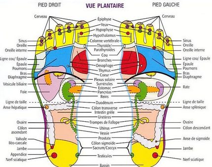 points de massage des pieds